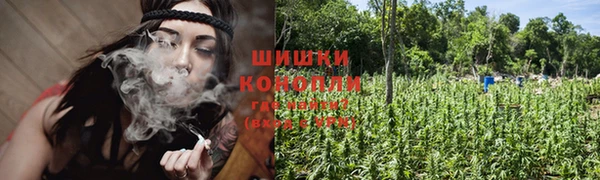 каннабис Вяземский