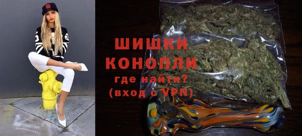 шишки Вязьма