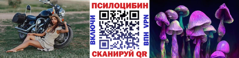 где купить наркоту  Задонск  Псилоцибиновые грибы прущие грибы 